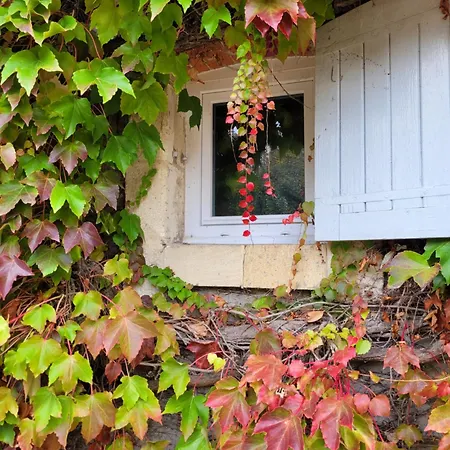 Bed and Breakfast L'annexe De Camillac *